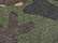Camo Green